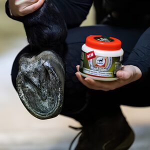 Alternative view of Leovet <br> Hoof Balm<br>Hovpleje med bräbiotika