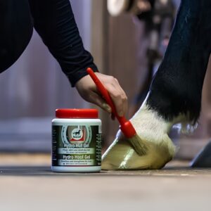 Alternative view of Leovet <br>Hydro Huf Gel<br>Giver velplejede hove