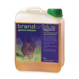 BrandonPlus <br>Gastro Balsam