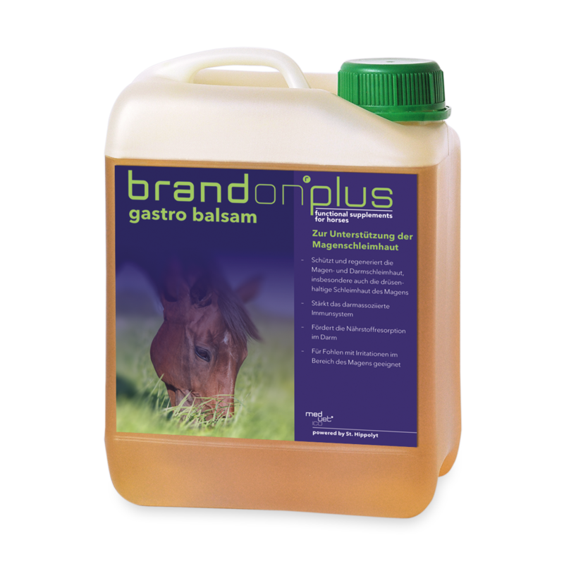 BrandonPlus <br>Gastro Balsam